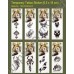 Временные татуировки в ассортименте Waterproof body tattoo stickers